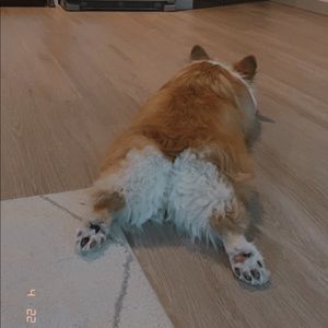 Meet your Posher, Bia